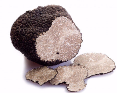 Black Truffle|Truffe noire